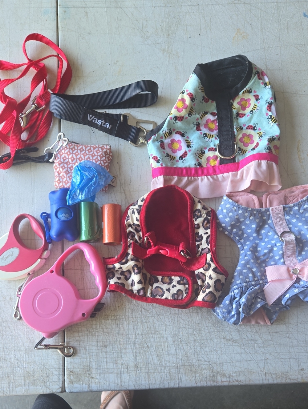 Glamour Pink, Red, Blue and Black Dog Harness & Leash Lot